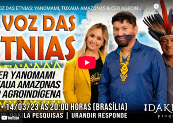 Yanomami, Tuxaua Amazonas & CEO Agroindígena