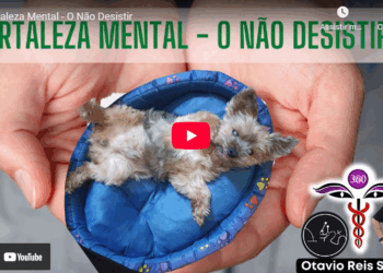 Fortaleza Mental – O Não Desistir