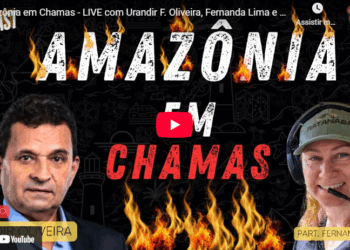 Amazônia em Chamas